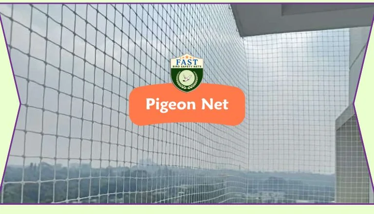 Net for Pigeons