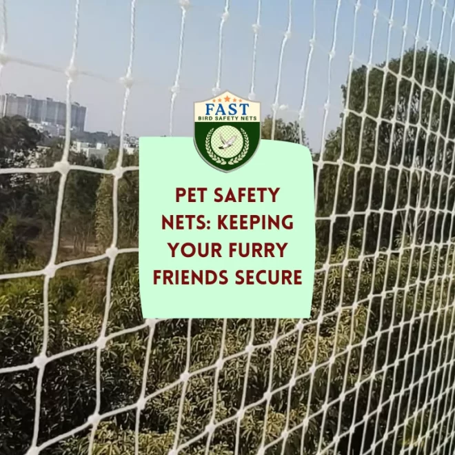 Pet Safety Nets: Keeping Your Furry Friends Secure