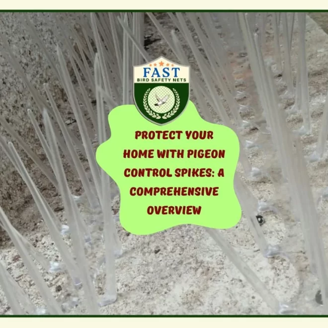 Protect Your Home with Pigeon Control Spike: A Comprehensive Overview