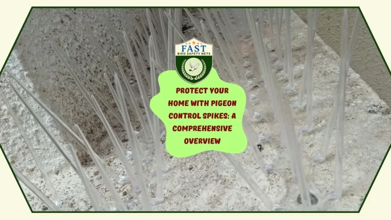 Protect Your Home with Pigeon Control Spike: A Comprehensive Overview
