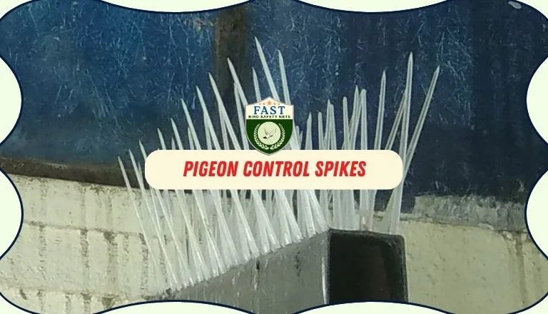 pigeon spikes