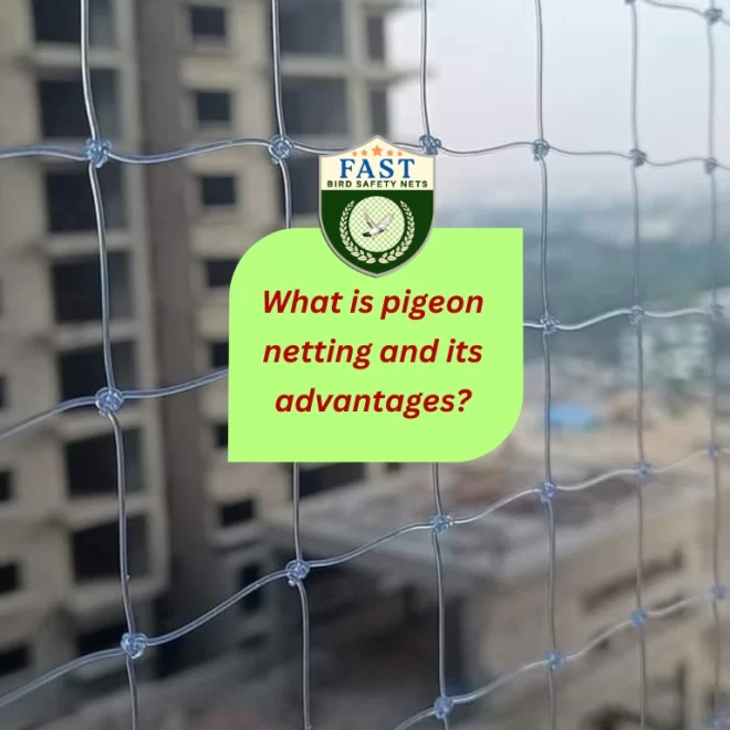 What is Pigeon Netting and its advantages?