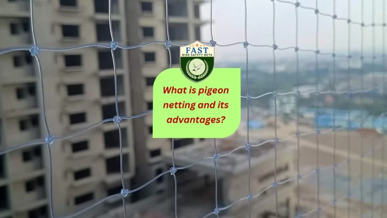 What is Pigeon Netting and its advantages?
