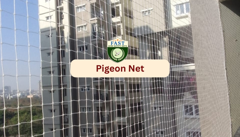 Pigeon Deterrent Net near me