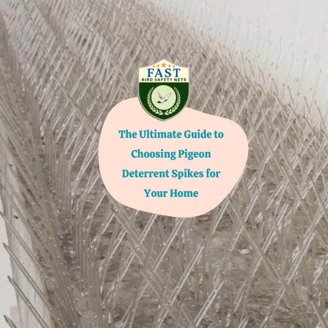 The Ultimate Guide to Choose Pigeon Deterrent Spikes for Your Home