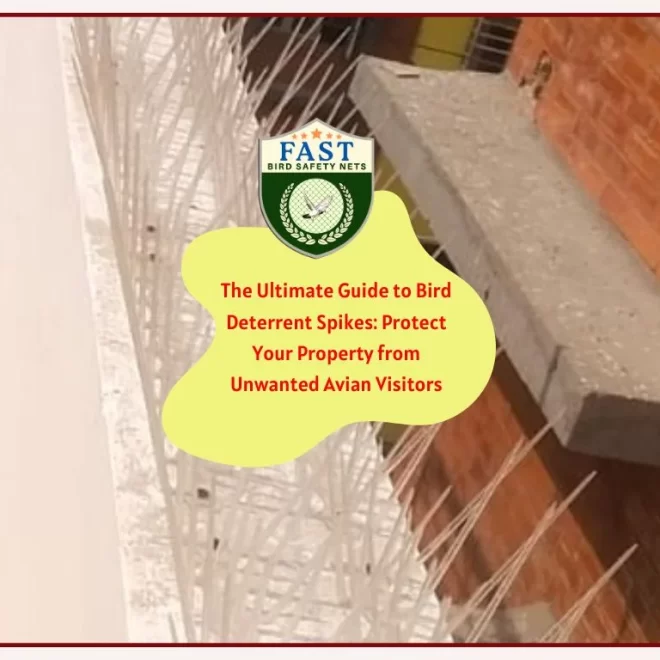 The Ultimate Guide to Bird Deterrent Spike: Protect Your Property from Unwanted Avian Visitors