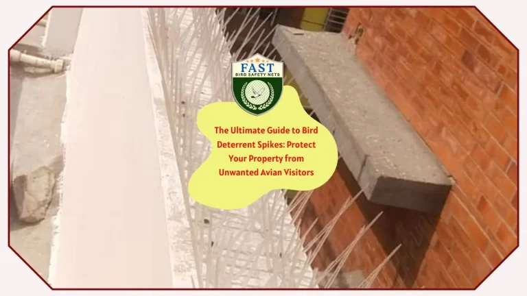The Ultimate Guide to Bird Deterrent Spike: Protect Your Property from Unwanted Avian Visitors