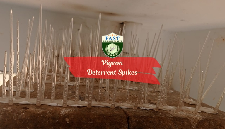 Pigeon Deterrent Spikes