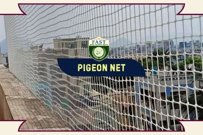 How do you fix pigeon problems in an apartment building?