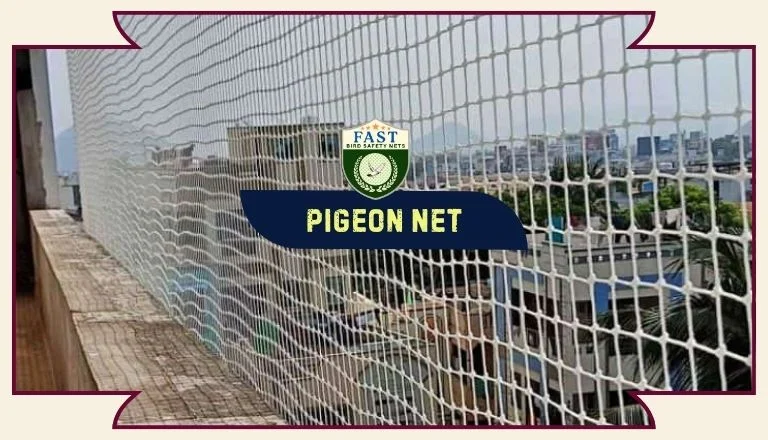 How do you fix pigeon problems in an apartment building?