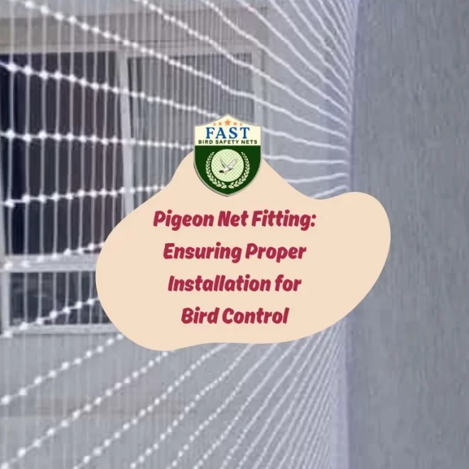 Pigeon Net Fitting: Ensuring Proper Installation for Bird Control