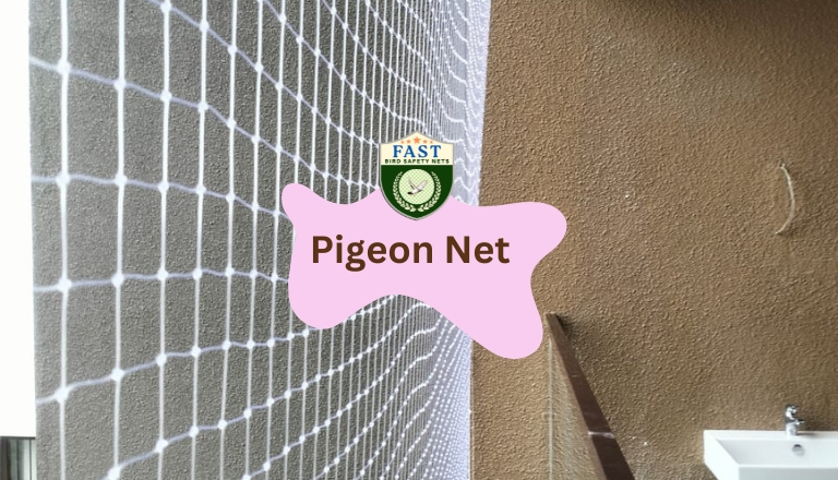 Pigeon Netting Solution