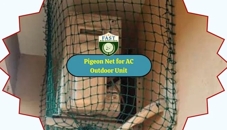 Pigeon Net for AC