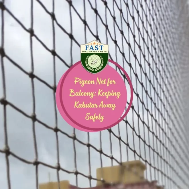 Pigeon Net for Balcony: Keeping Kabutar Away Safely
