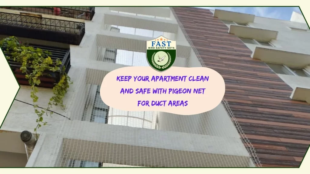 Keep Your Apartment Clean and Safe with Pigeon Net for Duct Areas