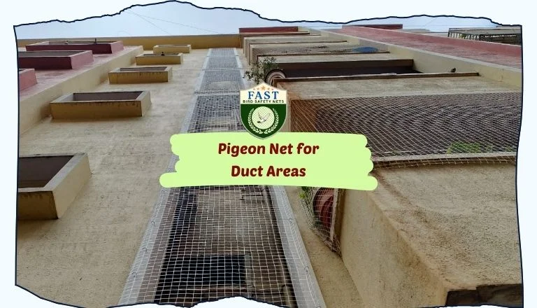 Pigeon Net for Duct Area