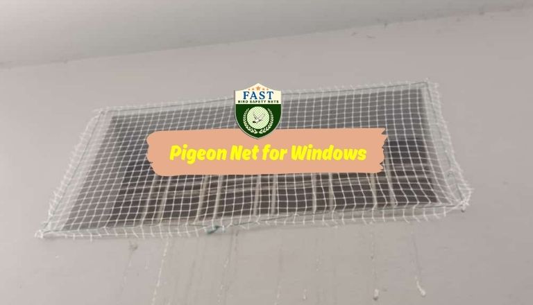 pigeon net for windows