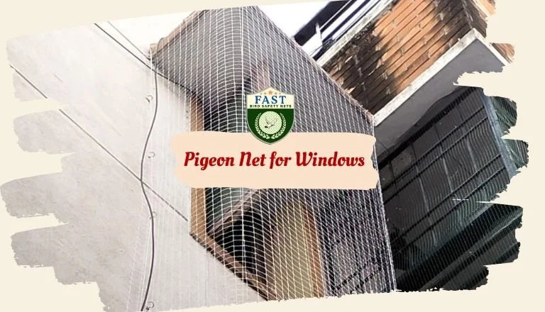 Pigeon Net for Windows in Hyderabad