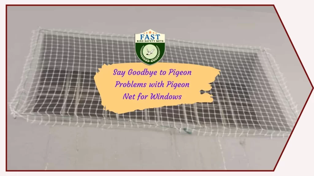 Say Goodbye to Pigeon Problems with Pigeon Net for Windows