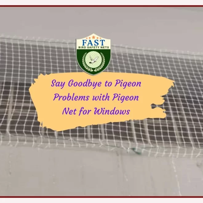 Say Goodbye to Pigeon Problems with Pigeon Net for Windows