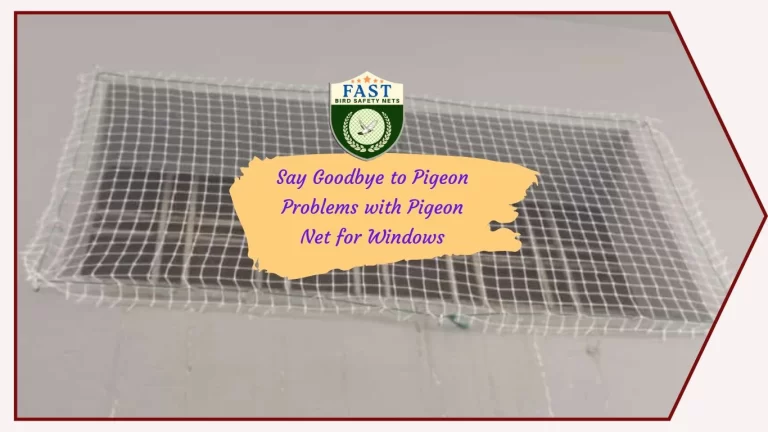 Say Goodbye to Pigeon Problems with Pigeon Net for Windows