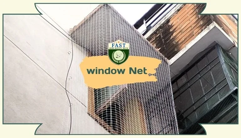 Pigeon Net for Windows