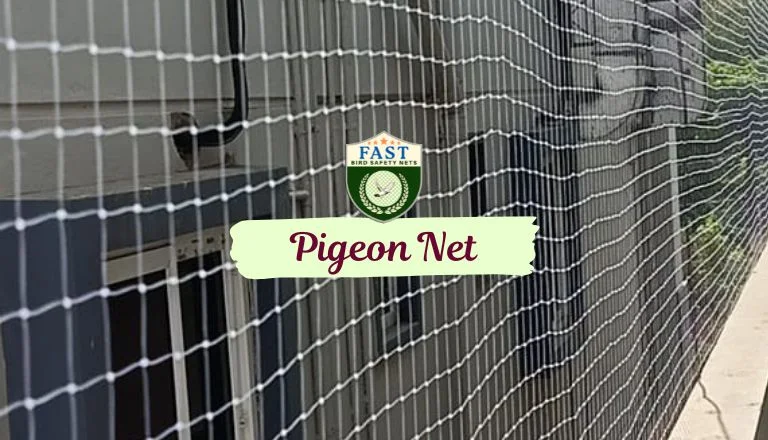 pigeon net