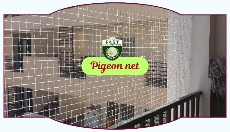 Pigeon Net Use