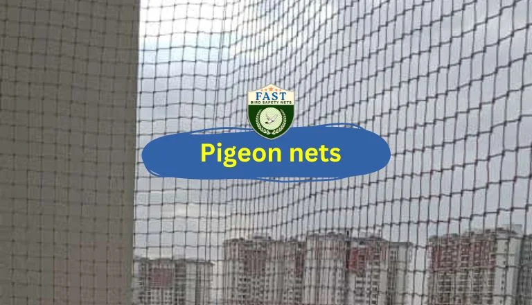 pigeon nets