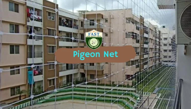 pigeon nets near me