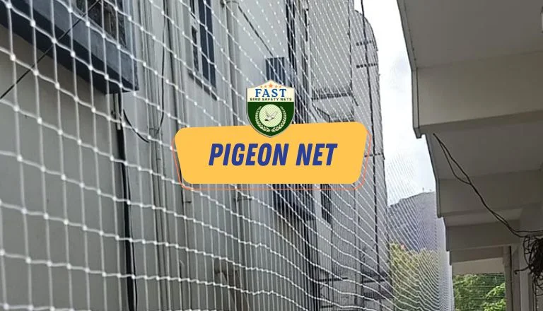 pigeon netting