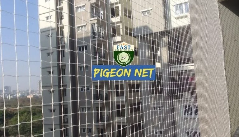 Pigeon Netting Hyderabad