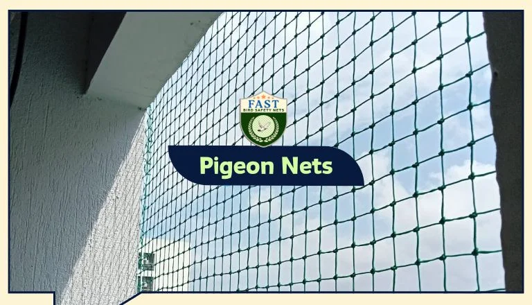 pigeon netting