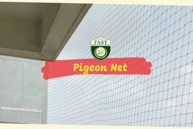 How to avoid pigeons in balcony?