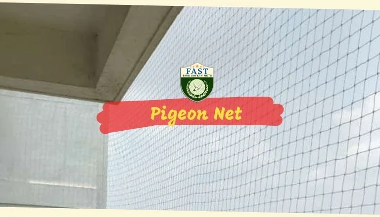 How to avoid pigeons in balcony?