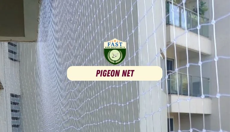 Pigeon Netting