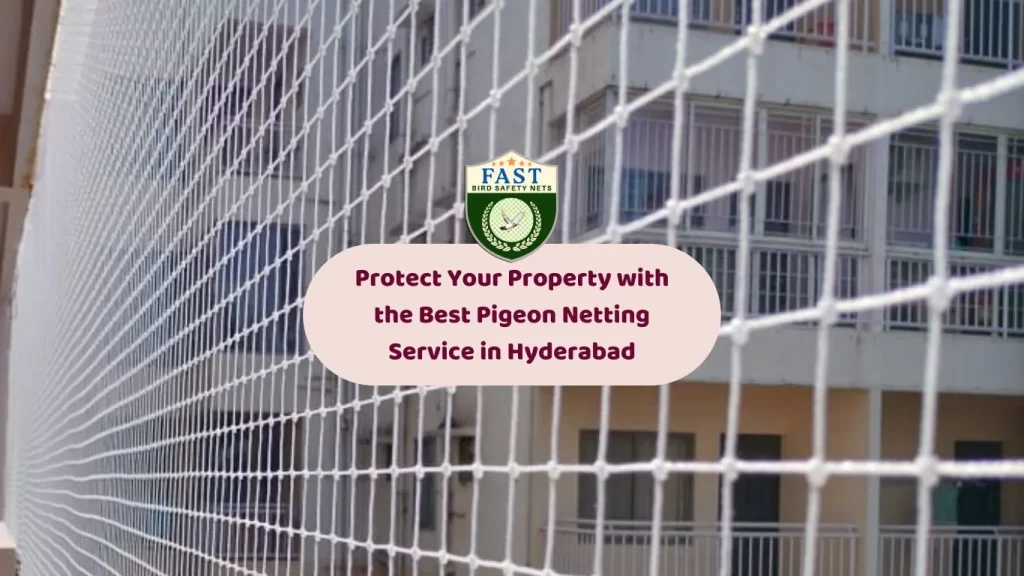 Protect Your Property with the Best Pigeon Netting Service in Hyderabad