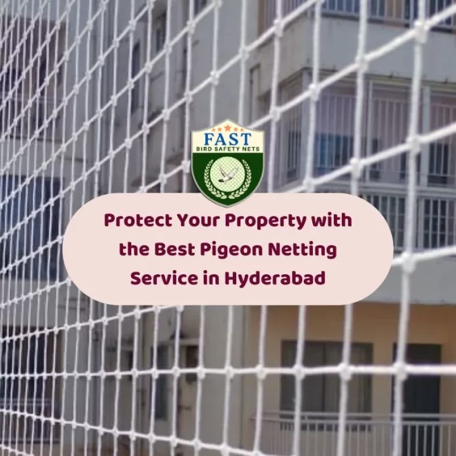 Protect Your Property with the Best Pigeon Netting Service in Hyderabad