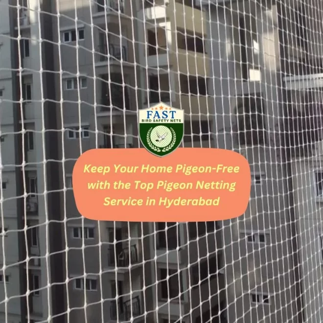 Keep Your Home Pigeon-Free with the Top Pigeon Netting Service in Hyderabad