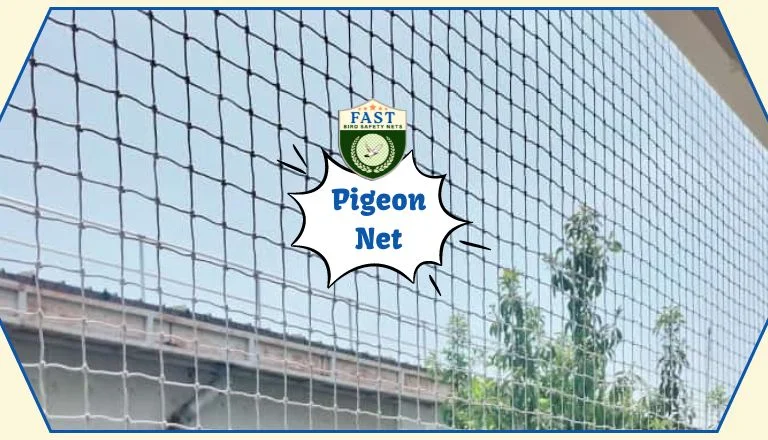 pigeon netting
