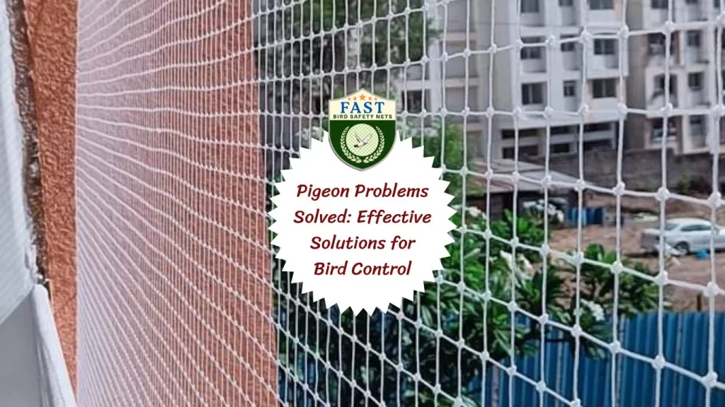 Pigeon Problems Solved: Effective Solutions for Bird Control