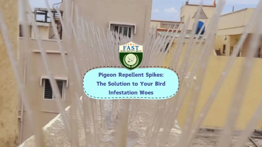 Pigeon Repellent Spikes: The Solution to Your Bird Infestation Woes