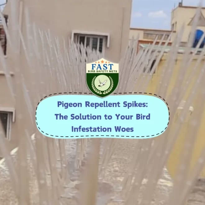 Pigeon Repellent Spikes: The Solution to Your Bird Infestation Woes