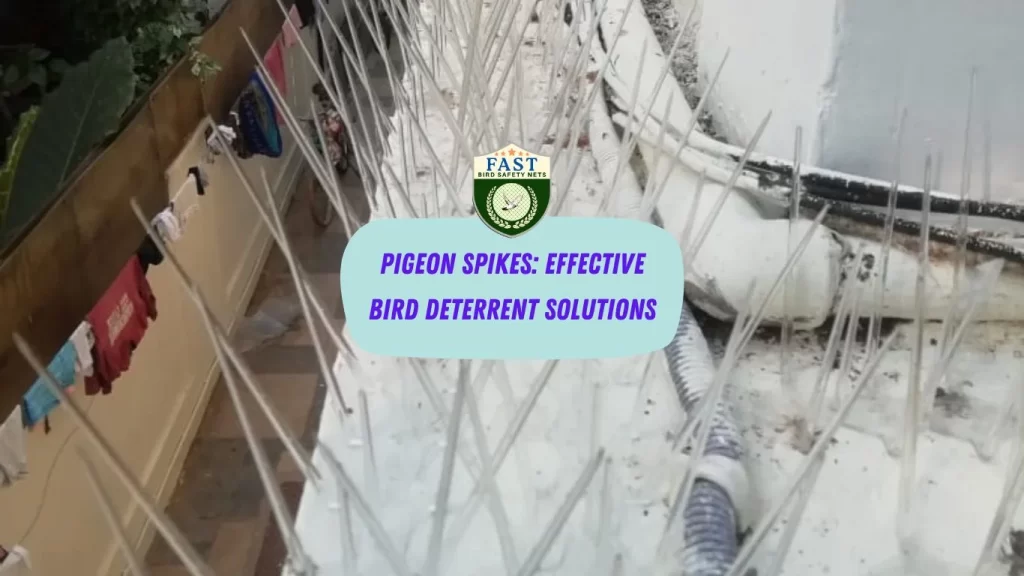 Pigeon Spikes: Effective Bird Deterrent Solutions