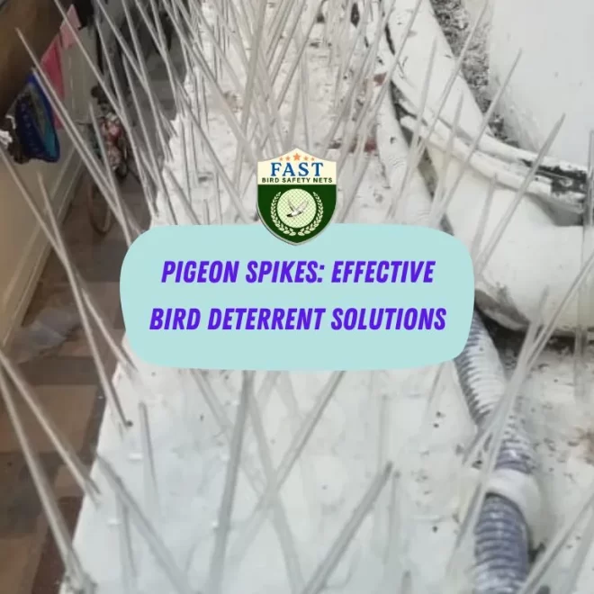 Pigeon Spikes: Effective Bird Deterrent Solutions