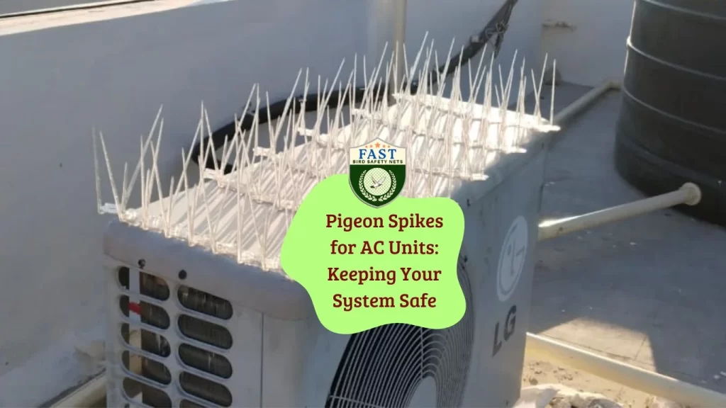 Pigeon Spikes for AC Units: Keeping Your System Safe