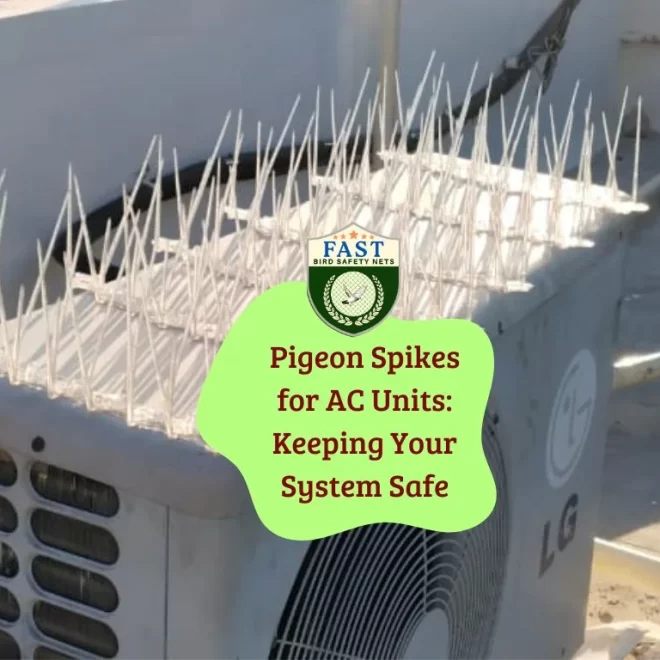 Pigeon Spikes for AC Units: Keeping Your System Safe