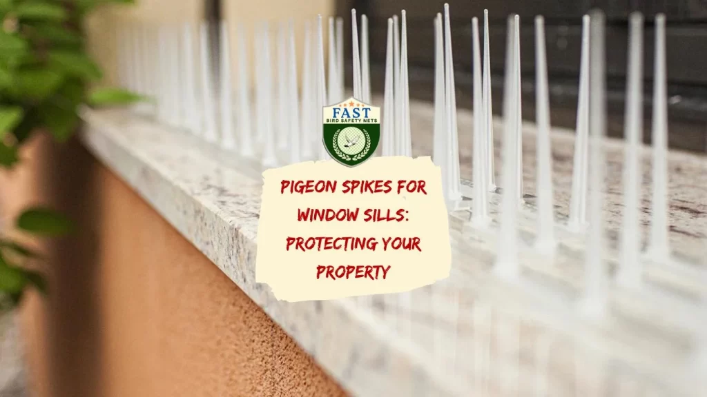 Pigeon Spikes for Window Sills: Protecting Your Property