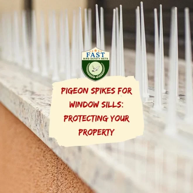 Pigeon Spikes for Window Sills: Protecting Your Property