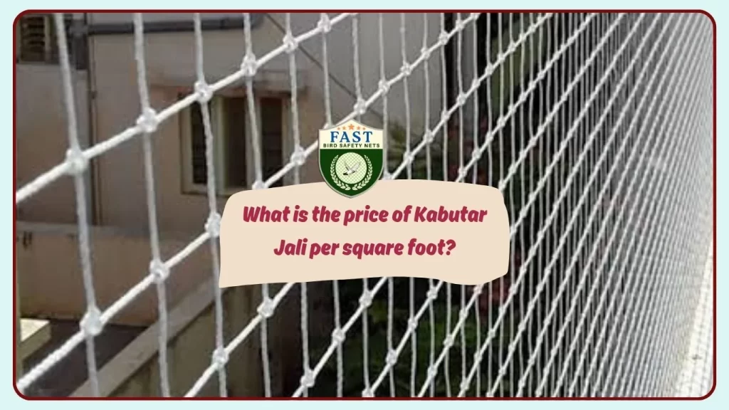 What is the price of Kabutar Jali per square feet?